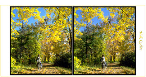 Dale Walsh Color Stereocard Reproductions