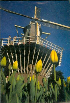 Holland 5 3D Greeting Card