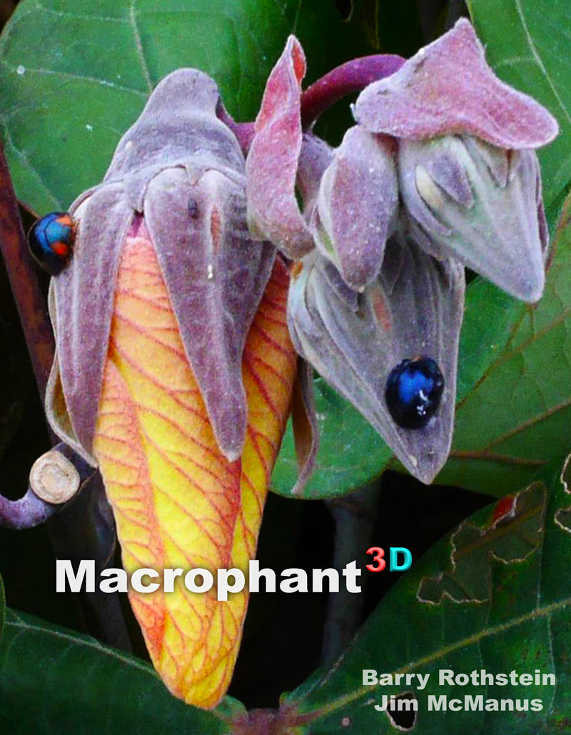 Macrophant 3D