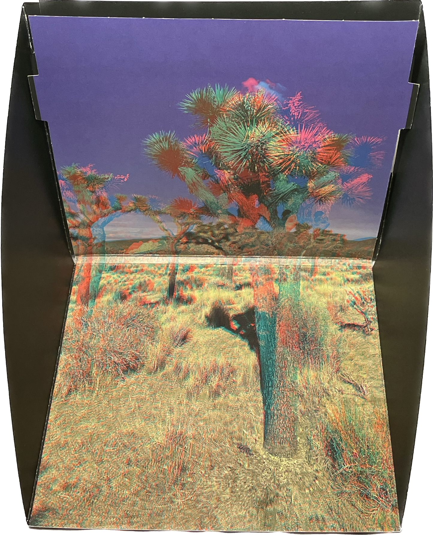 Phanto-Popup Joshua Tree 1