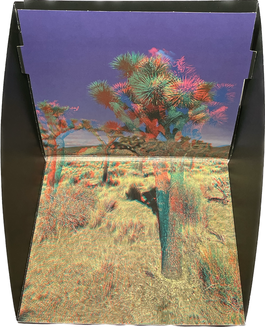 Phanto-Popup Joshua Tree 1