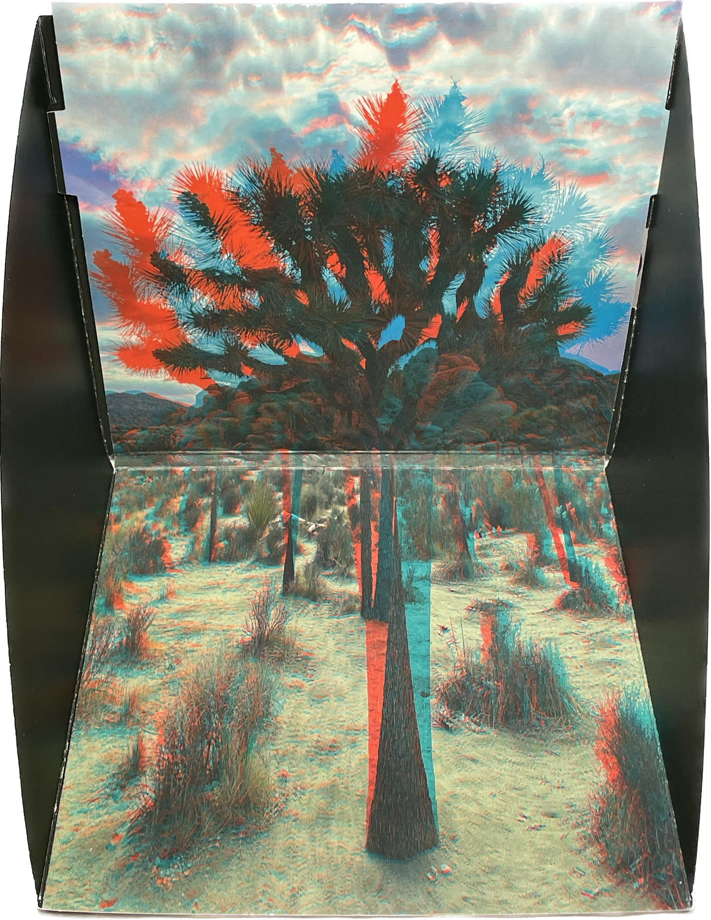 Phanto-Popup Joshua Tree 5