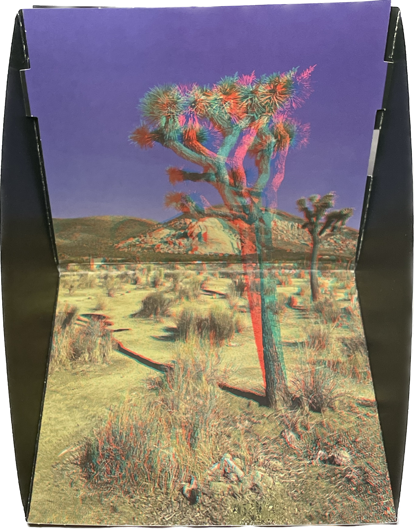 Phanto-Popup Joshua Tree 6