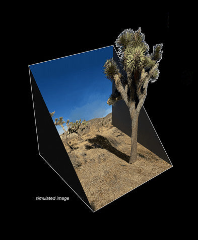 Phanto-Popup Joshua Tree Complete 6 Card Set