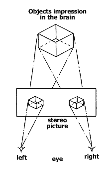 Stereo Photography by Fritz G. Waack