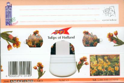 Tulips of Holland 2 3D Greeting Card