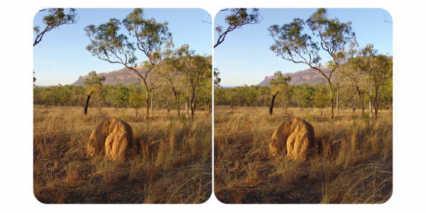 Postcards of Far North Queensland