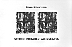Stereo Infrared Landscapes by Steve Schwartzman